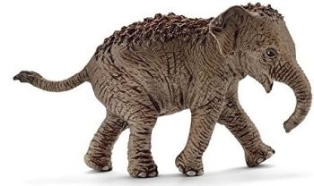 SHL14755 - Bebé elefante asiático