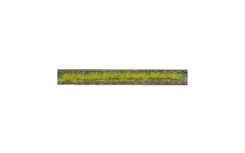 HEK1810 - Pack de 10 tiras de hierba primavera 10 cm