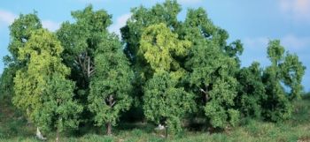 HEK1992 - 14 Árboles de hoja caduca 5-12 cm