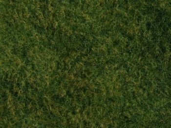 NOC07280 - Follaje de hierba silvestre; verde claro 20 x 23 cm