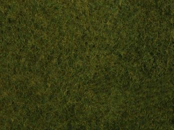 NOC07282 - Follaje de hierbas silvestres; verde oscuro 20 x 23 cm