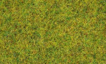 NOC08310 - Hierba de pradera de verano - 20 g - 2;5 mm