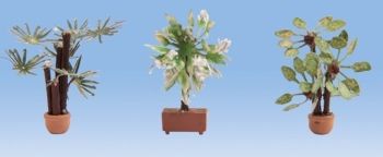 NOC14023 - plantas mediterraneas