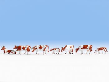 NOC15723 - vacas Montbéliard