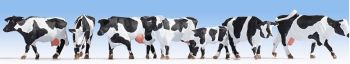 NOC15725 - vacas Holstein