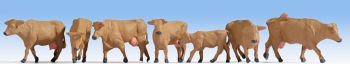 NOC15727 - Vacas; marrones