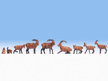 NOC15742 - animales alpinos