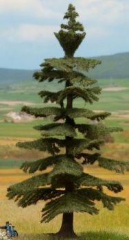 NOC21823 - Árbol Nordmann 14;5 cm