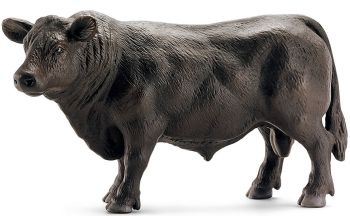 SHL13766 - toro angus