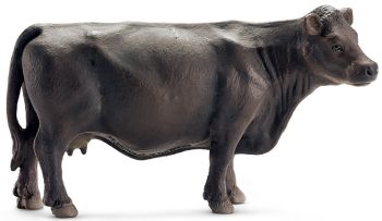 SHL13767 - Vaca Angus