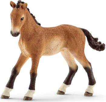SHL13804 - potro tennessee walker