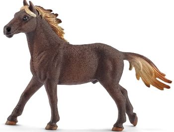 SHL13805 - semental mustang