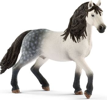 SHL13821 - semental andaluz