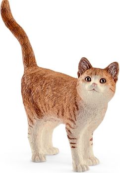SHL13836 - Gato