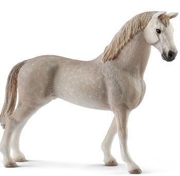 SHL13859 - Caballo castrado Holstein
