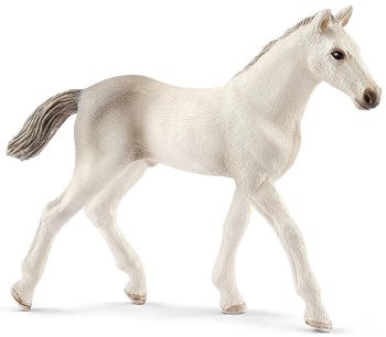 SHL13860 - Potro Holstein