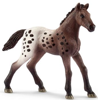 SHL13862 - Potro Appaloosa