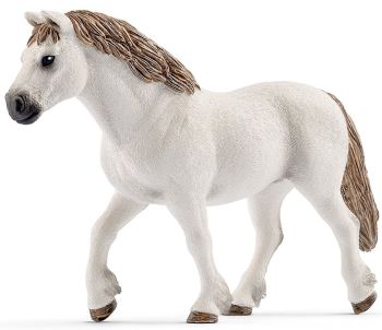 SHL13872 - Poni de raza galesa