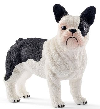 SHL13877 - Bulldog francés