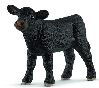 SHL13880 - Ternero Angus