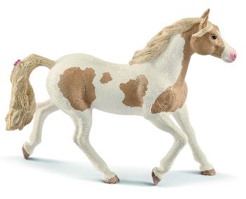 SHL13884 - yegua pintura caballo