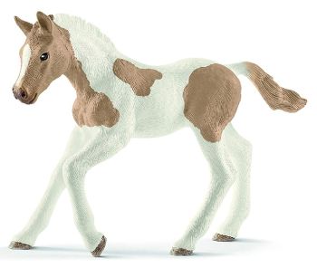 SHL13886 - Caballo de pintura potro