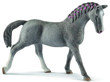 SHL13888 - yegua trakehnen