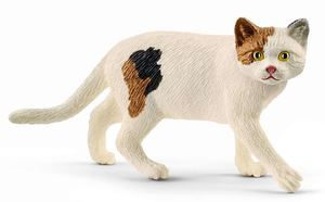 SHL13894 - gato americano de pelo corto