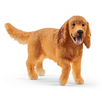 SHL13896 - cocker spaniel ingles
