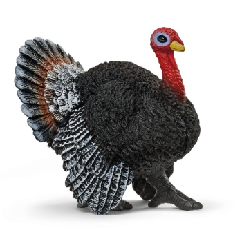 SHL13900 - pavo
