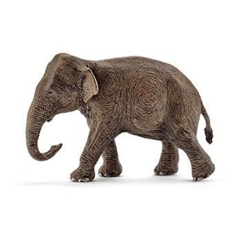 SHL14753 - Elefante Asiático - Hembra
