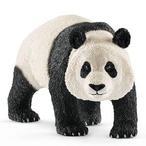 SHL14772 - Panda gigante macho