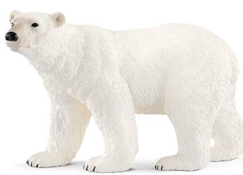 SHL14800 - Oso polar