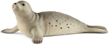 SHL14801 - Foca