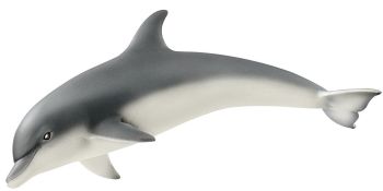 SHL14808 - Delfín