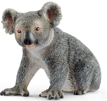 SHL14815 - Coala