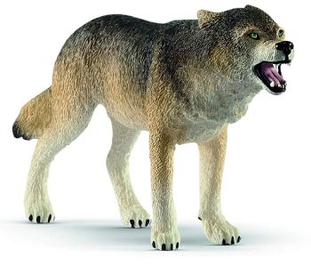 SHL14821 - Lobo