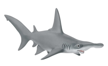 SHL14835 - Tiburón martillo