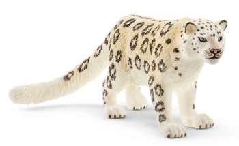 SHL14838 - Leopardo de nieve