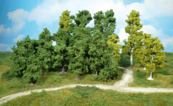 HEK1950 - Lote de 10 arboles frutales 8-12 cm