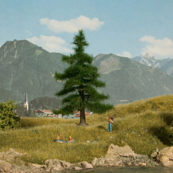 NOC21810 - Árbol Nordmann 12 cm