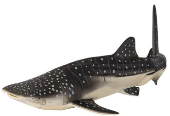 T16067 - Tiburón ballena