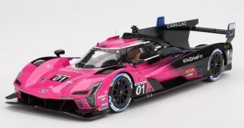 TS0611 - CADILLAC Serie-V #1 Petit Le Mans 2024 S.BOURDAIS / R.VAN DER ZANDE / S.DIXON