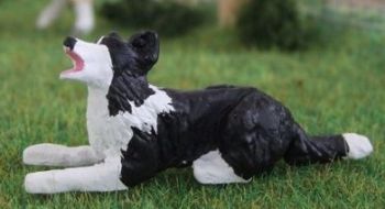 WMA12 - Border collie tumbado - En Miniatura
